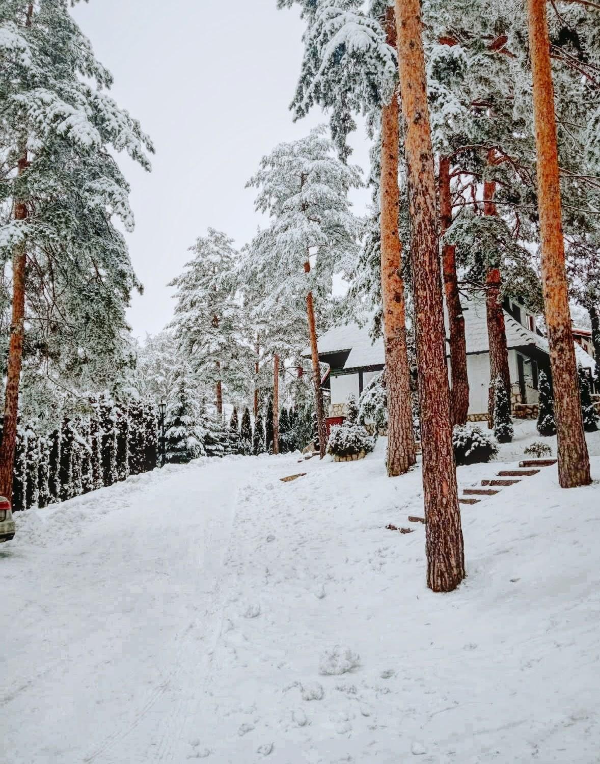 Matija Lux Konaci Appartement Zlatibor Buitenkant foto