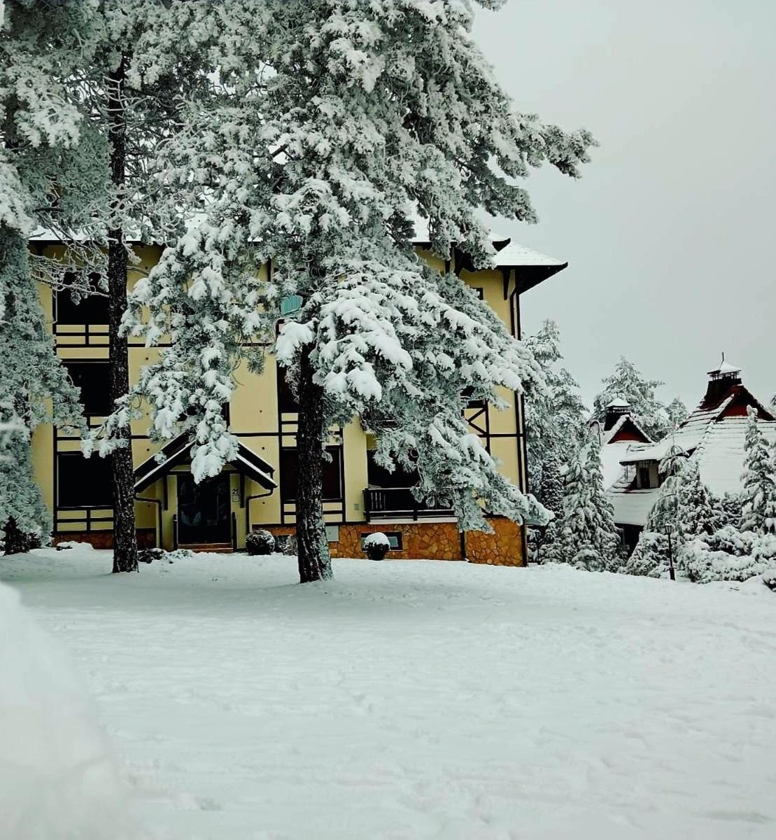 Matija Lux Konaci Appartement Zlatibor Buitenkant foto